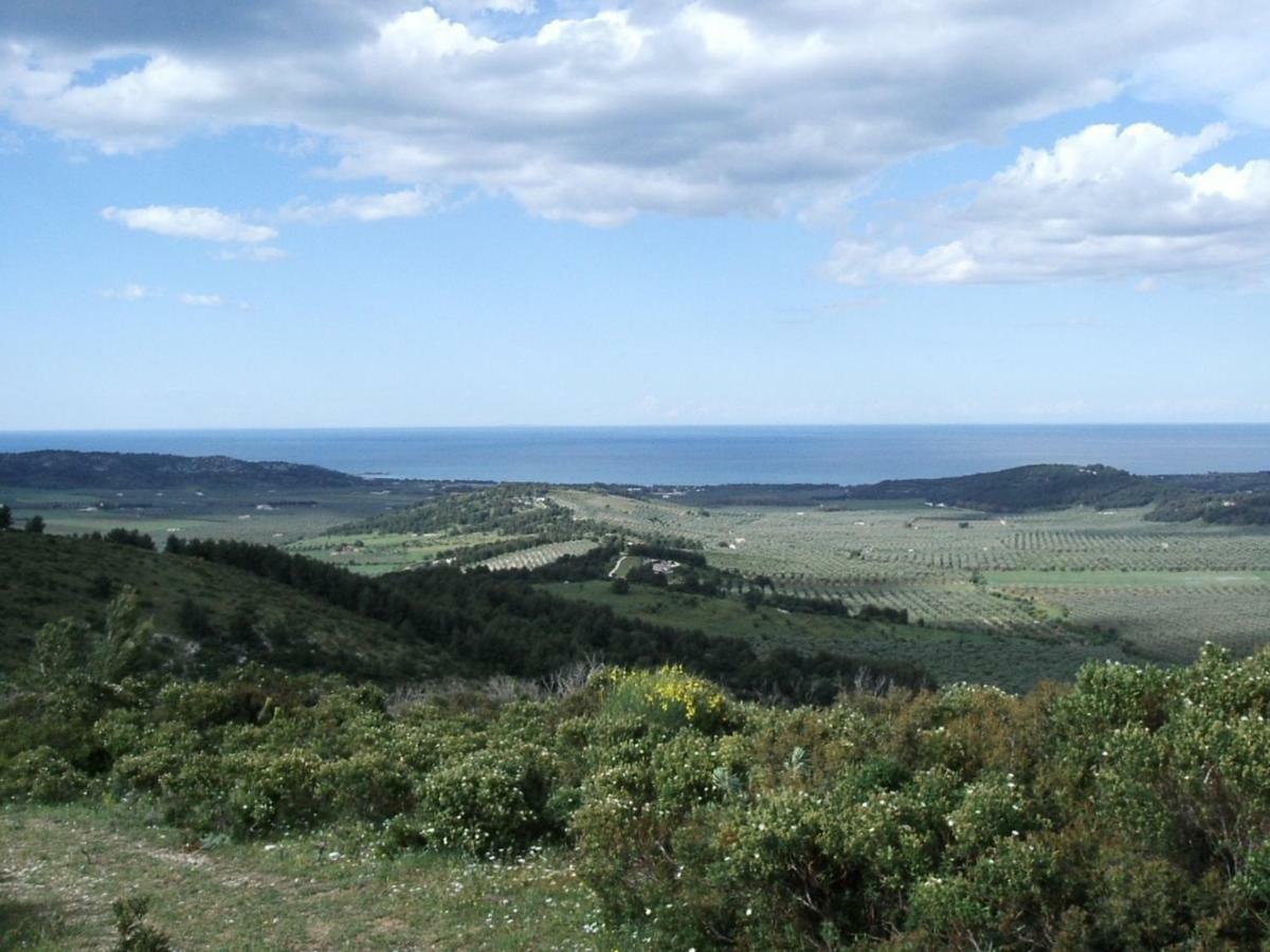 Azienda Agricola Gentile - La Casa Degli Ulivi Vieste Exterior foto