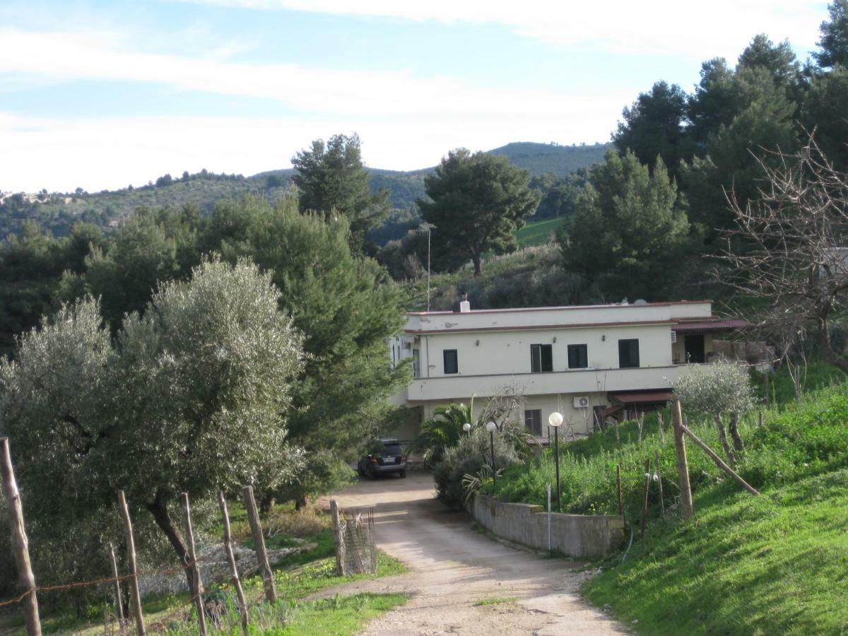 Azienda Agricola Gentile - La Casa Degli Ulivi Vieste Exterior foto